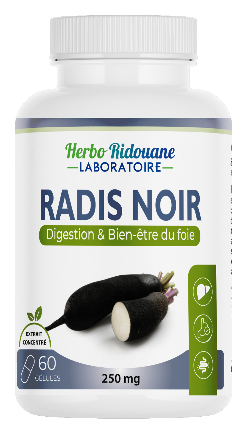 Radis noir 