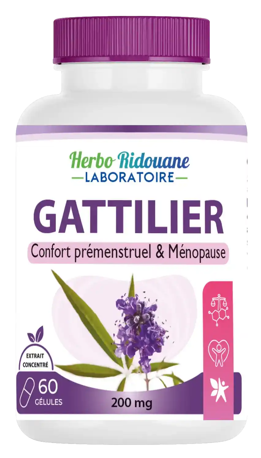 Gattilier