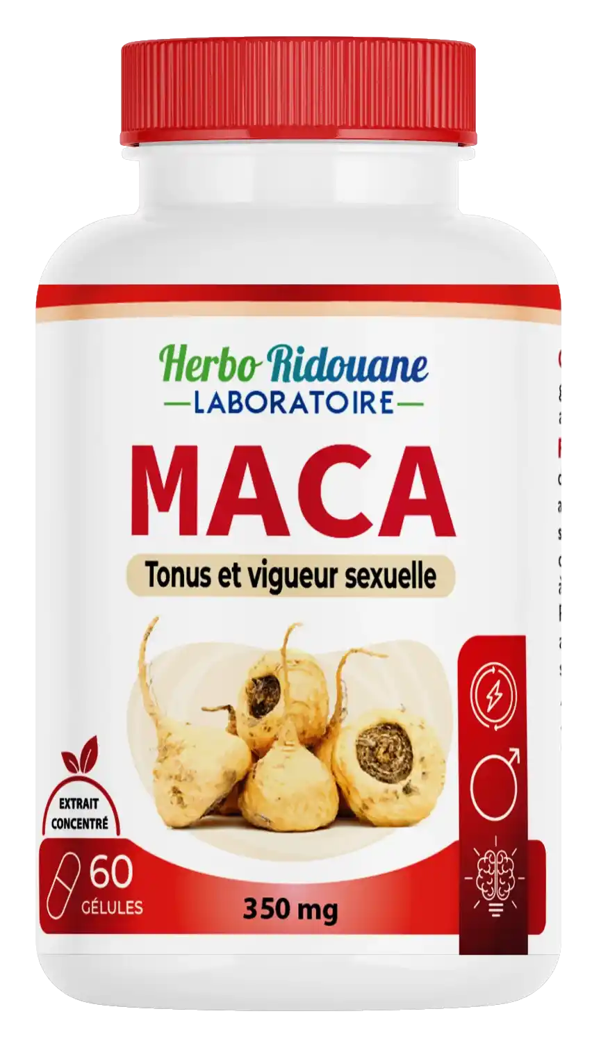 Maca